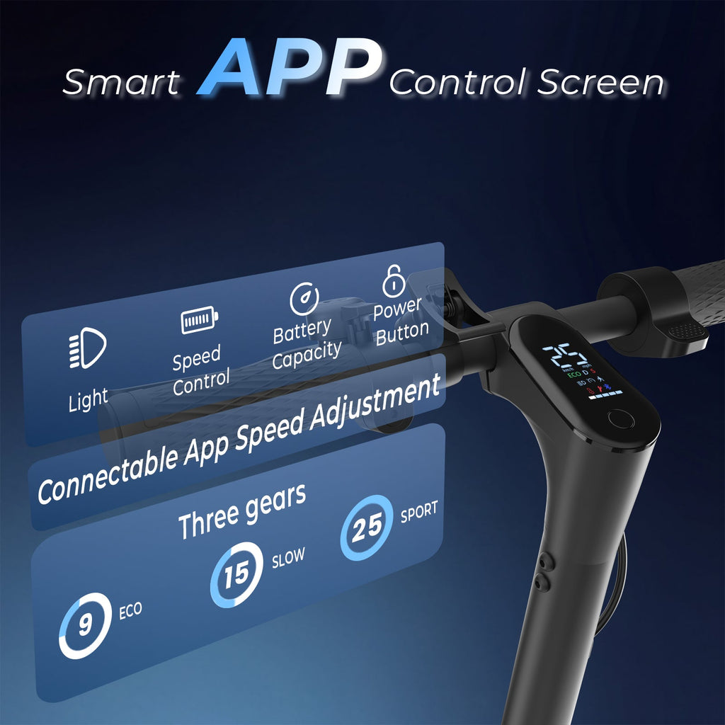 D3Max Electric Scooter 1000W Powerful Motor