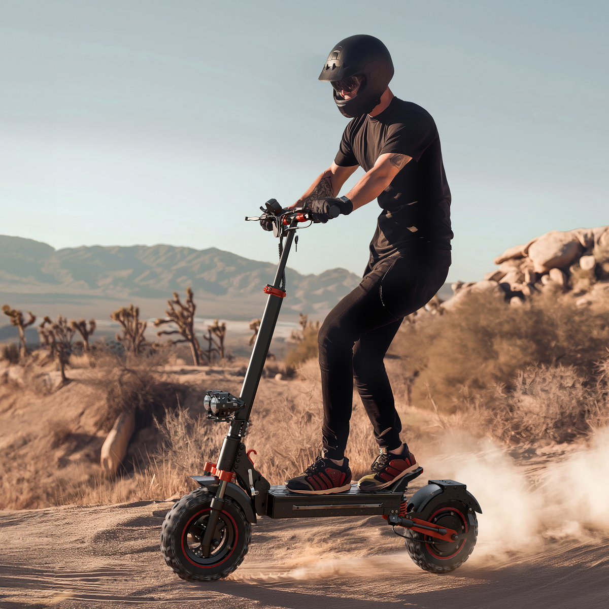 iX5S 1000W Electric Scooter 11 Off-Road Tires