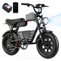 FD6Mini Electric Bike