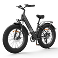 M60 All-Terrain Electric Bike