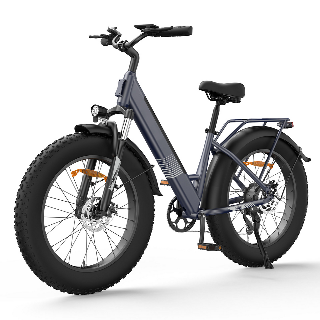 Electric Bike