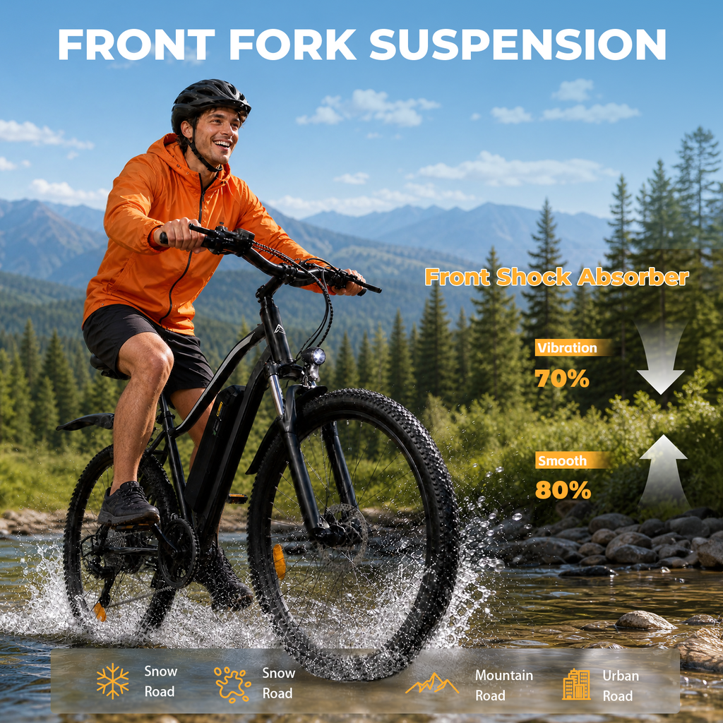 FD3S Electric Bike